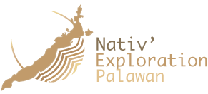 Nativexploration
